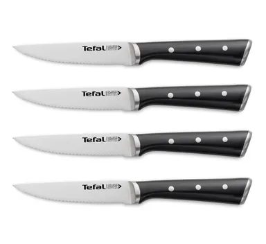 Набор из 4 ножей для стейка Tefal Ice Force K232S414
