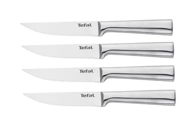 Набор ножей для стейка TEFAL Expertise 4 предмета K121S414